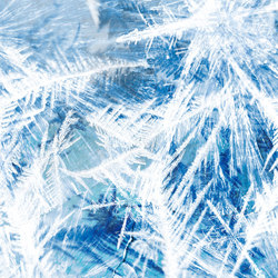 Frozen | light blue | Wall-to-wall carpets | moooi carpets