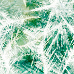 Frozen | green | Moquette | moooi carpets
