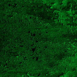 Oxidized | dark green | Wall-to-wall carpets | moooi carpets