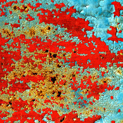 Oxidized | red | Wall-to-wall carpets | moooi carpets