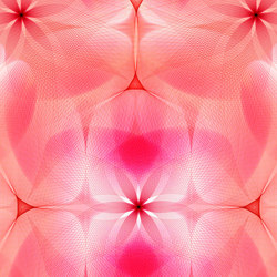 Spiroflower | pink