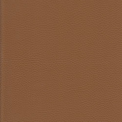 K324220 | Faux leather | Schauenburg