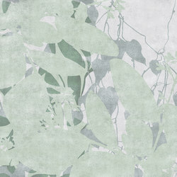 Creeper | Pattern plants / flowers | GLAMORA