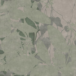 Creeper | Pattern plants / flowers | GLAMORA