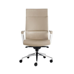 Insight Executive | Office chairs | Stylex