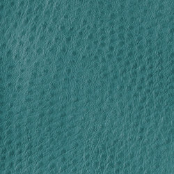 Fowl Play | Eclectus | Colour green | Anzea Textiles