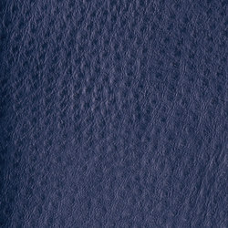Fowl Play | Hyacinth | Faux leather | Anzea Textiles