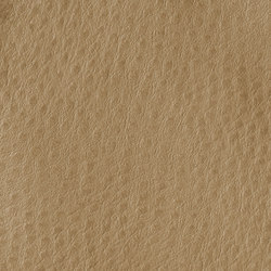 Fowl Play | Sandpiper | Faux leather | Anzea Textiles