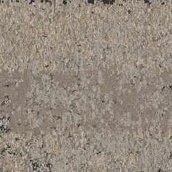 Human Nature 850 Shale | Carpet tiles | Interface USA
