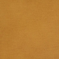 Silicon Mountain | Citrine | Upholstery fabrics | Anzea Textiles