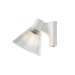 Minster 2 Prismatic Pitched Wall Light