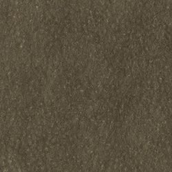 Juliet | Dark Forest | Wall coverings / wallpapers | Luxe Surfaces