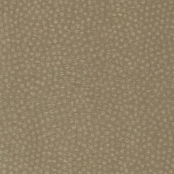 Juliet | Plata | Wall coverings / wallpapers | Luxe Surfaces