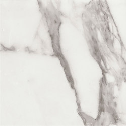 Marstood | Marble 01 | Statuario | 60x60 matt
