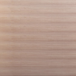 Birkoplex® | Larch | Wood panels | europlac