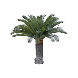 Artificial Plants | Cycas Palm large | Planting | Götessons