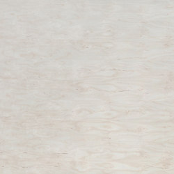 B-Plex®Light | Birch excentrically cut | Wood panels | europlac