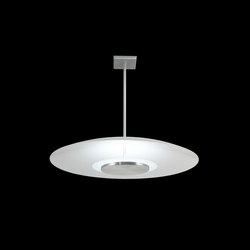 Florette Pendant | Suspended lights | The American Glass Light Company