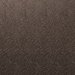 Solano® Nature | Van Dyke brown | Metal sheets | ArcelorMittal