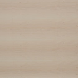 B-Plex®Light | Maple | Wood panels | europlac