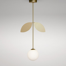 Plant | Suspended lights | Atelier Areti