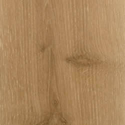 Oak | Wood flooring | Architectural Systems