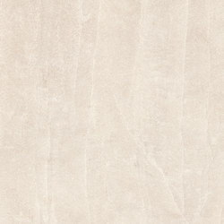 12" x 24", Honed | Ceramic tiles | Architectural Systems