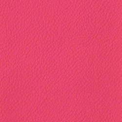 Trendy Cow | Poppin Pink | Colour solid / plain | Anzea Textiles