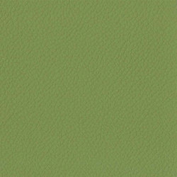 Trendy Cow | Legal Green | Colour solid / plain | Anzea Textiles