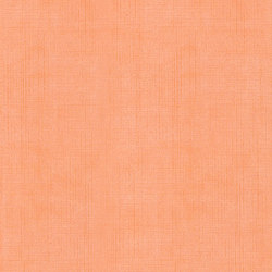 Silk Sorbet | Cantaloupe | Upholstery fabrics | Anzea Textiles