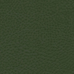 Roadster | Sports Green | Upholstery fabrics | Anzea Textiles