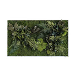 plant picture | plant islands 100x60cm | Wall decoration | styleGREEN