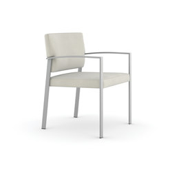 Steel Side Chair / Brushed Stainless Steel Frame | with armrests | Trinity Furniture
