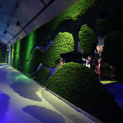Evergreen Premium individually shaped | Living / Green walls | Freund