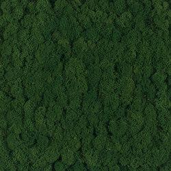 Evergreen Premium moss pictures | Living / Green walls | Freund