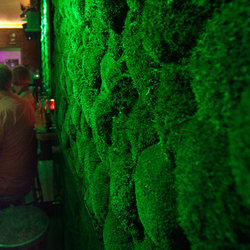 Greenhill Moss walls | Living / Green walls | Freund