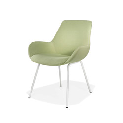 8610/3 Lupino | Chairs | Kusch+Co