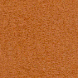 Volterra - HC | Upholstery fabrics | CF Stinson