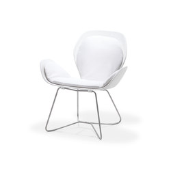 Dove Collection | Lounge Chair