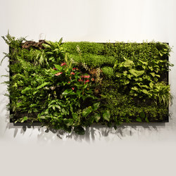 Greenworks