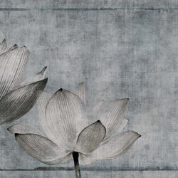 canvas | lotus | Arte | N.O.W. Edizioni