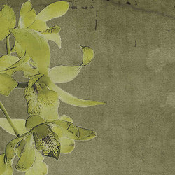 canvas | evergreen | Wall art / Murals | N.O.W. Edizioni