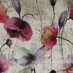 watercolor | poppies | Quadri / Murales | N.O.W. Edizioni