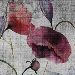 watercolor | poppies | Wall art / Murals | N.O.W. Edizioni