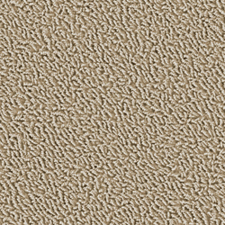 Sheen 1205 Dune | Wall-to-wall carpets | OBJECT CARPET