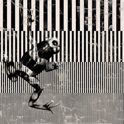 Bestiarivm | Pattern lines / stripes | Wall&decò