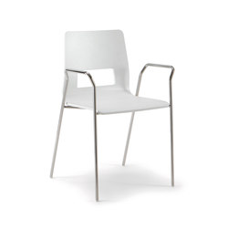 Celsius | Chairs | Quadrifoglio Group