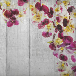 Flowered Cement | Wall art / Murals | INSTABILELAB