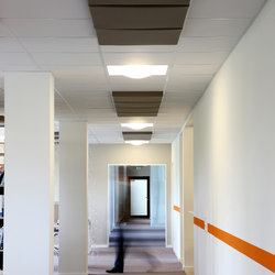 Abso acoustic pads | Acoustic ceiling systems | Texaa®