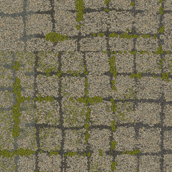 Human Connections 8340001 Moss in Stone Granite | Dalles de moquette | Interface
